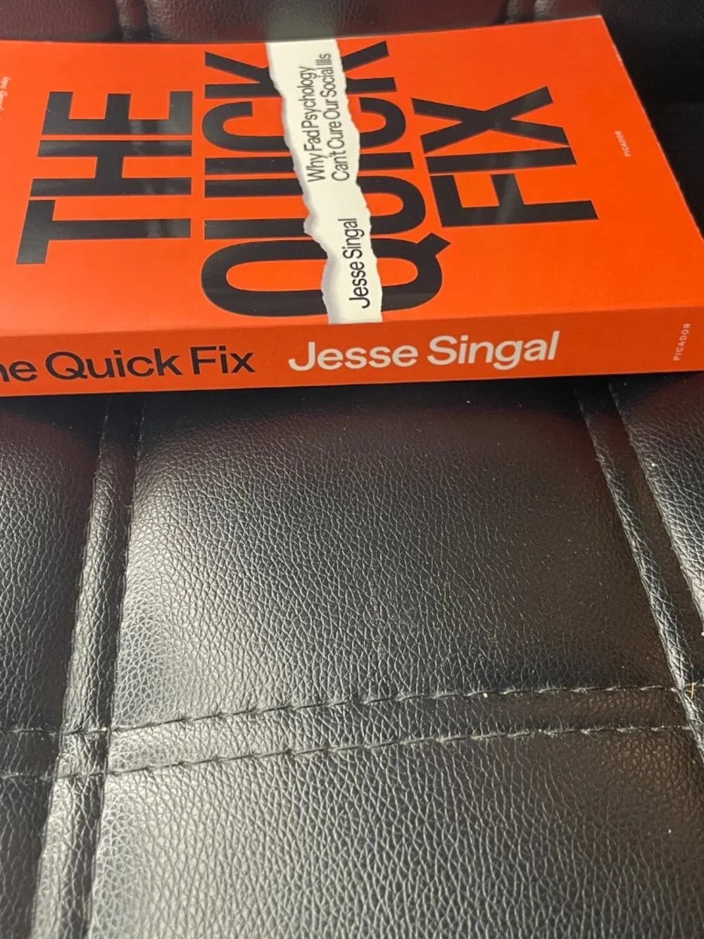 The Quick Fix: Why Fad Psychology Can't Cure Our Social Ills Book Paperback